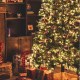 Rady a triky, ako správne postaviť vianočný stromček